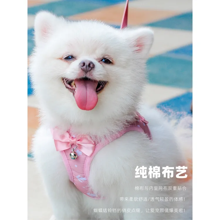 遛狗绳狗链子泰迪博美猫咪小狗牵引绳背心式小型犬幼犬胸背带用品