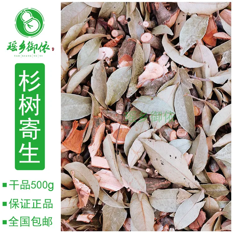 杉树寄生杉木寄生沙树寄生干品500g包邮广西瑶山特产杉树绿植苗