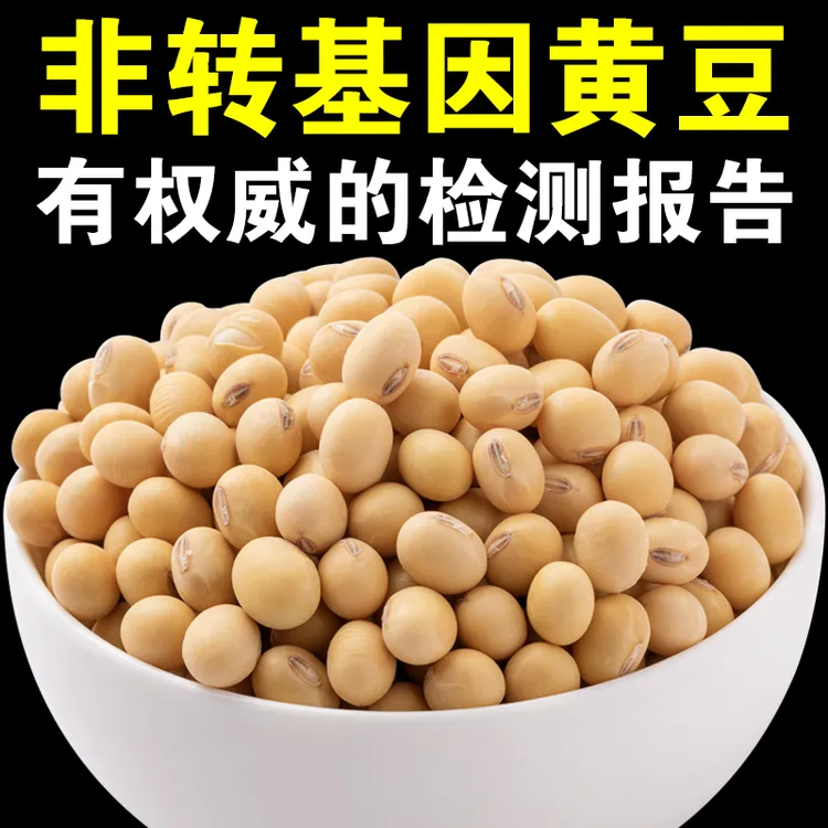 【呆呆菇娘】非转基因黄豆打豆浆专用老品种做豆腐笨黄豆土黄豆J