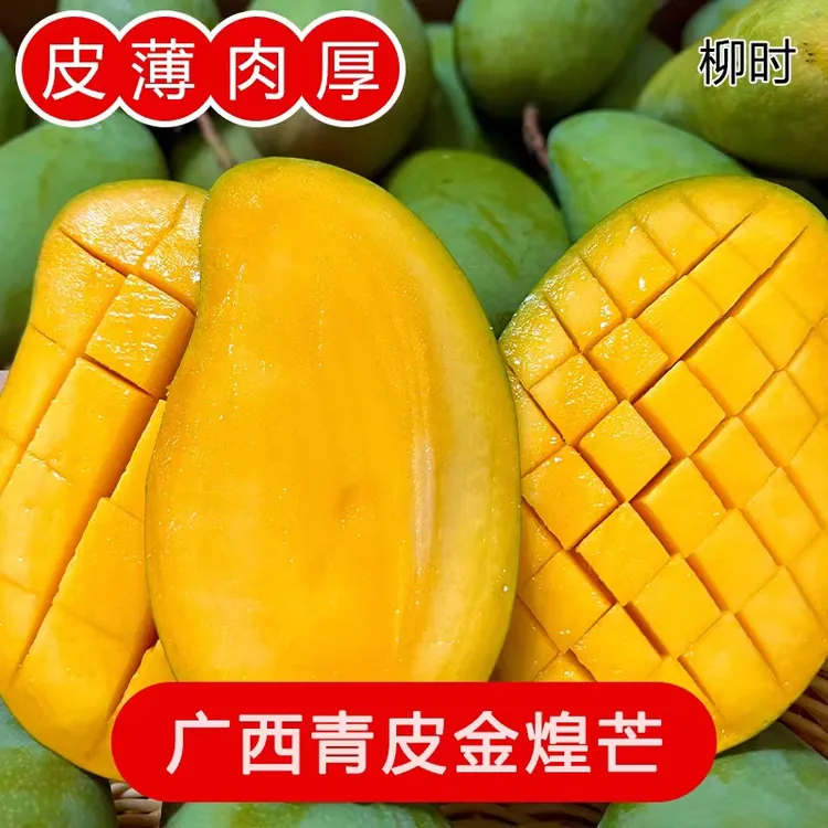 【主播专属】广西青皮金煌芒甜心芒果净重5斤/8斤水果催熟食用