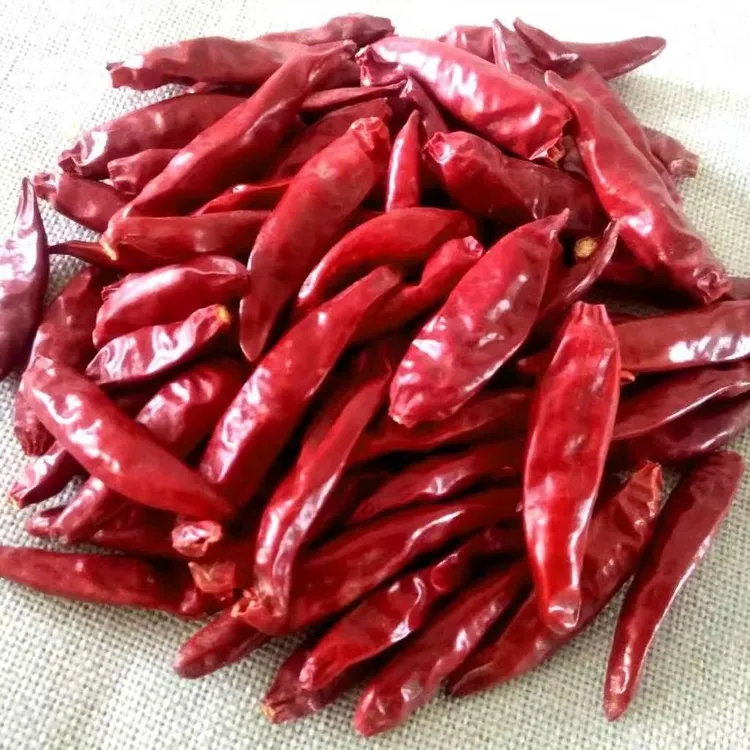 香而不辣三樱椒微辣特香干辣椒红辣椒香辣新一代海椒250g500g包邮