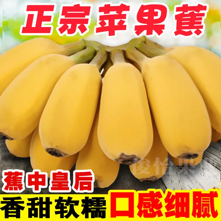 【星域生鲜】正宗广西苹果蕉新鲜水果10斤5斤2斤西贡蕉水果香蕉批发