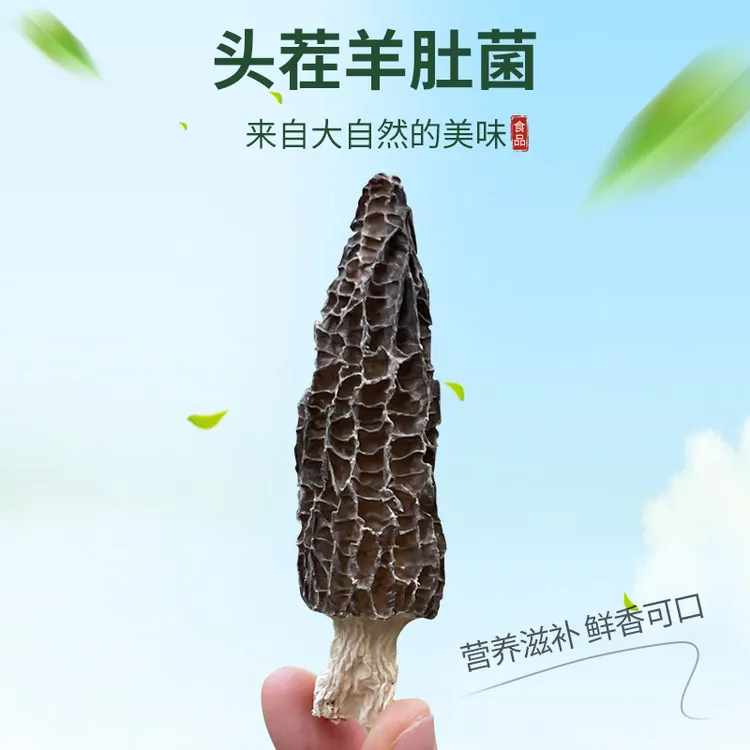 头茬原生态干炖汤菌菇煲汤食用菌自然风干15克/袋营养滋补