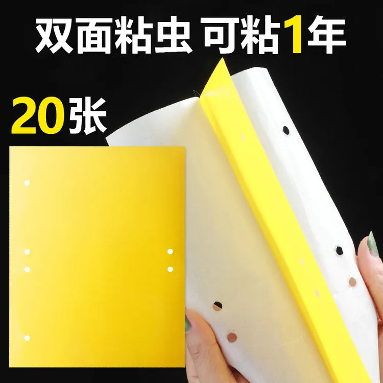 园艺用品黄板双面粘虫板蓝板纸贴黄色飞虫果蝇粘板实用耐用强力