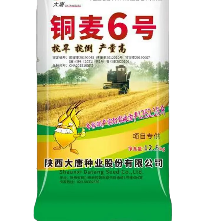 铜麦铜麦6号优质旱地小麦种子耐寒高产种业