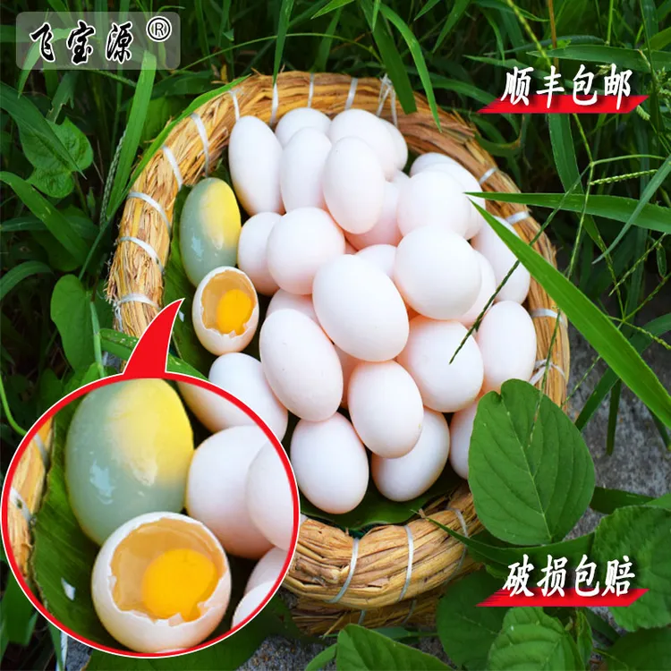 飞宝源鲜鸽子蛋杂粮散养顺丰包邮鸽蛋宝宝营养损坏包赔