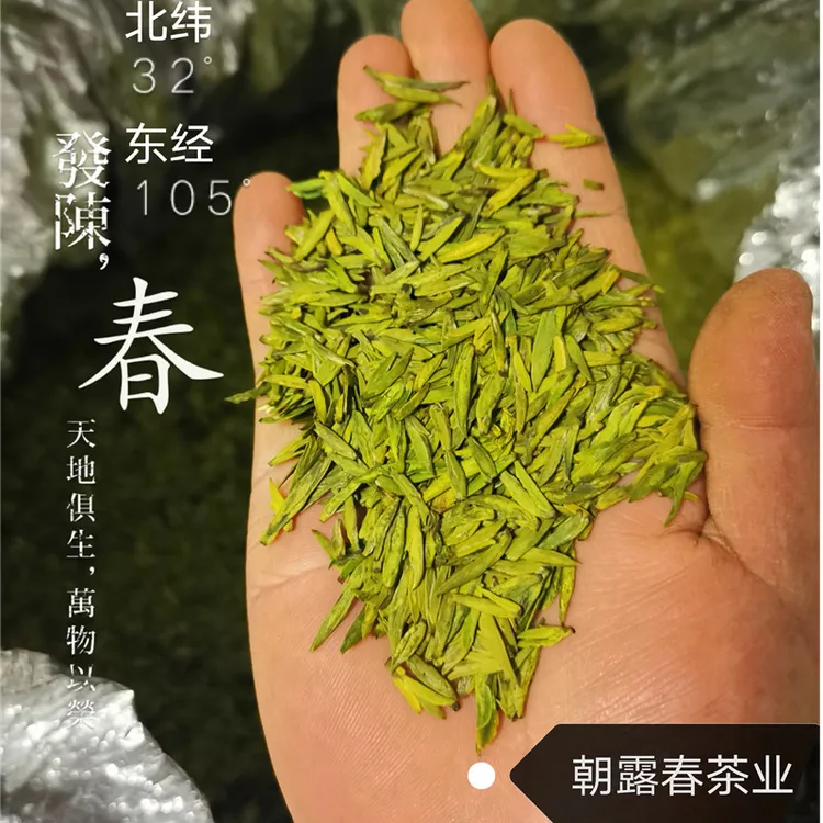 甘肃陇南龙井好喝茶叶2025新茶碧口李子坝明前龙井茶农直销包邮