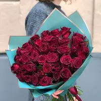 黑巴克月季盆栽花苗高级黑丝绒质感玫瑰花型耐热耐寒
