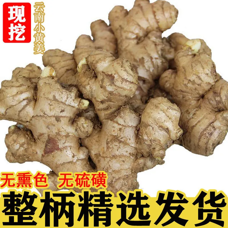 云南小黄姜生姜老姜批发农家自然高山种植辛辣调味新鲜生姜