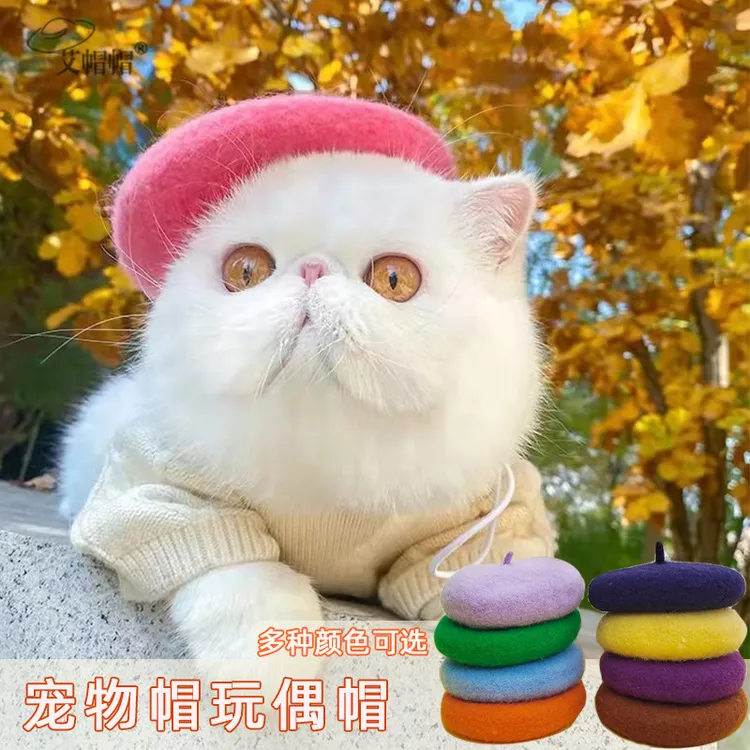 ins风宠物帽秋冬贝雷帽迷你可爱春夏猫猫狗狗公仔用品拍照玩宠帽