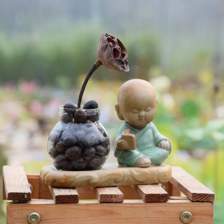 观赏碗莲荷花种子 母本莲子发芽开花率高优质阳台种植生长优选