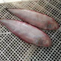 【纯野生龙利鱼】 深海底层鱼7-8条左右2斤 日照顺丰发货2包4斤香煎
