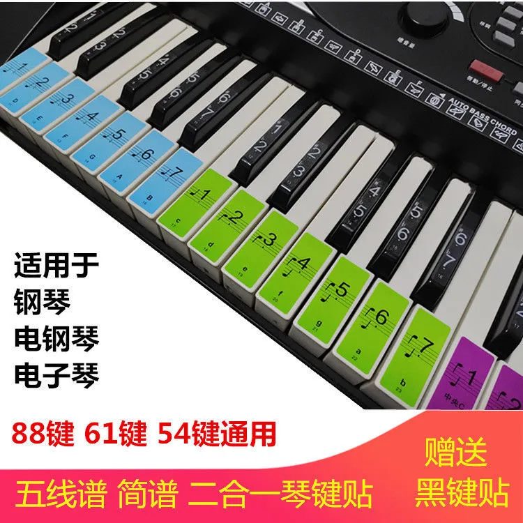 钢琴贴纸 88/61/54键盘贴儿童彩色琴键贴纸通用电子琴键盘保护贴
