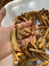 高丽参 大截 高丽参大节 高丽参大长腿大粗腿
