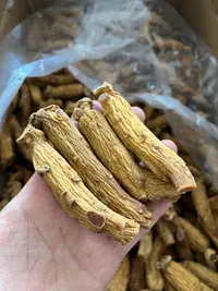 太极参 一级太极参 优质太极参 大枝规格 原枝货 高丽籽品种 