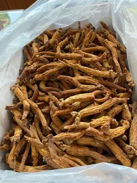 红参 大马芽品种 下山货红参 高年份 正宗红参