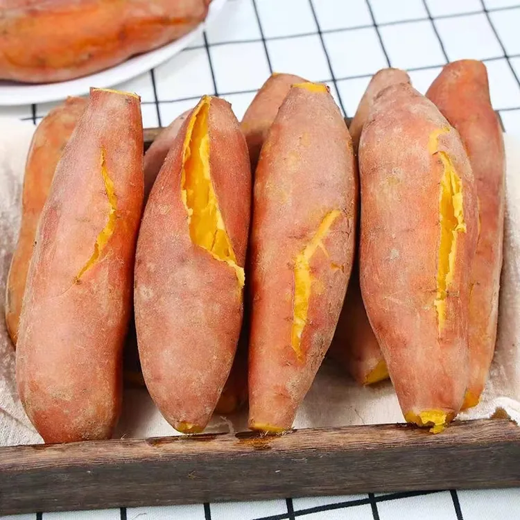 现挖板栗地瓜新鲜龙九红薯黄心蜜薯番薯5斤/9斤