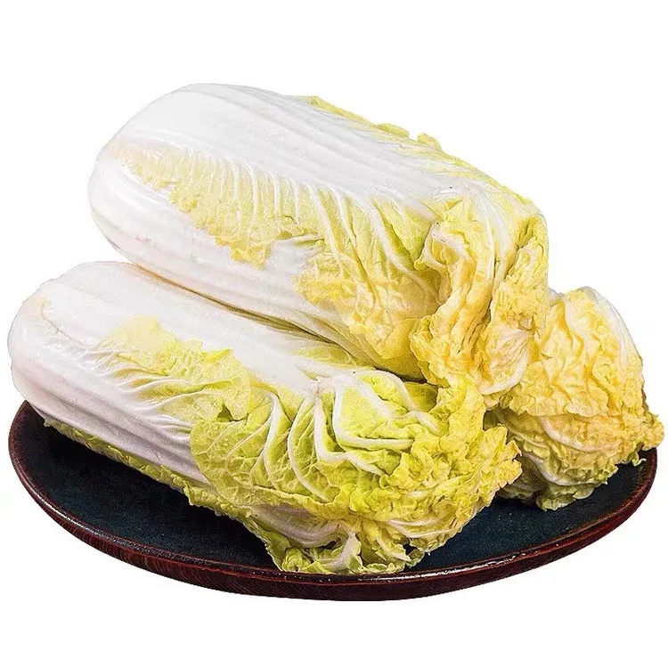 黄心大娃娃菜种子白菜秋季种植蔬菜种籽阳台盆栽简单