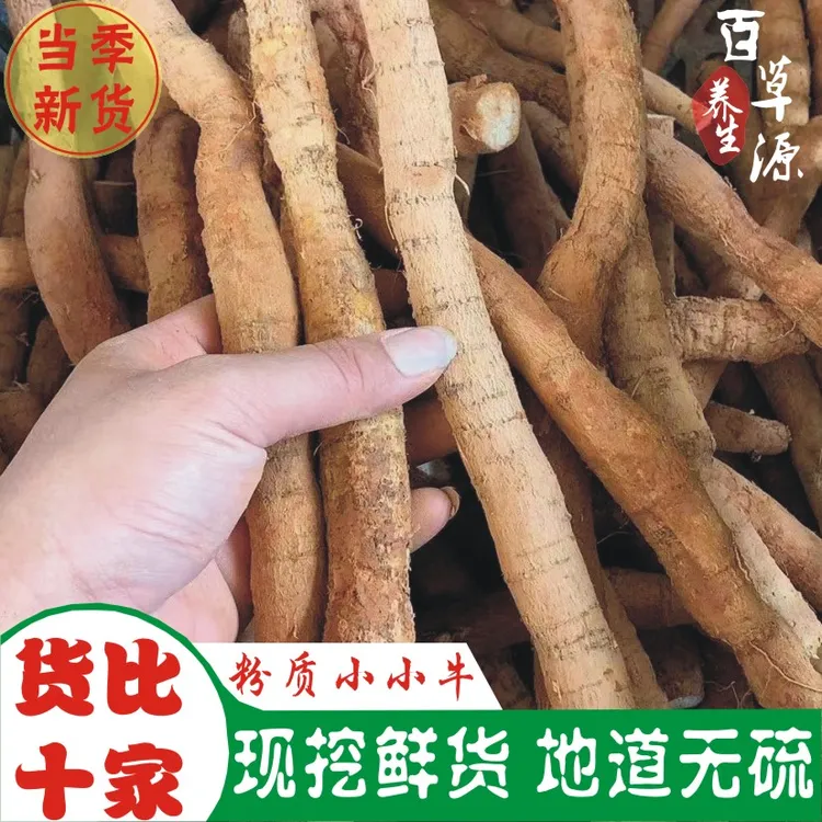 百草源新鲜牛大力薯鲜货粉质小小牛滋补煲汤泡酒料牛古大力金钟根