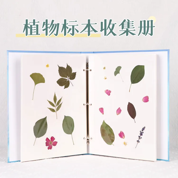 干花树叶标本收纳册活页装自制覆膜相册叶子作品展示整理册记录册