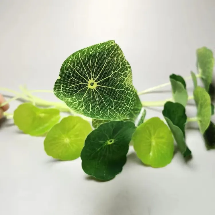 仿真小荷叶 仿真铜钱草 盘式插花 厨房用品 装饰 客厅摆件 