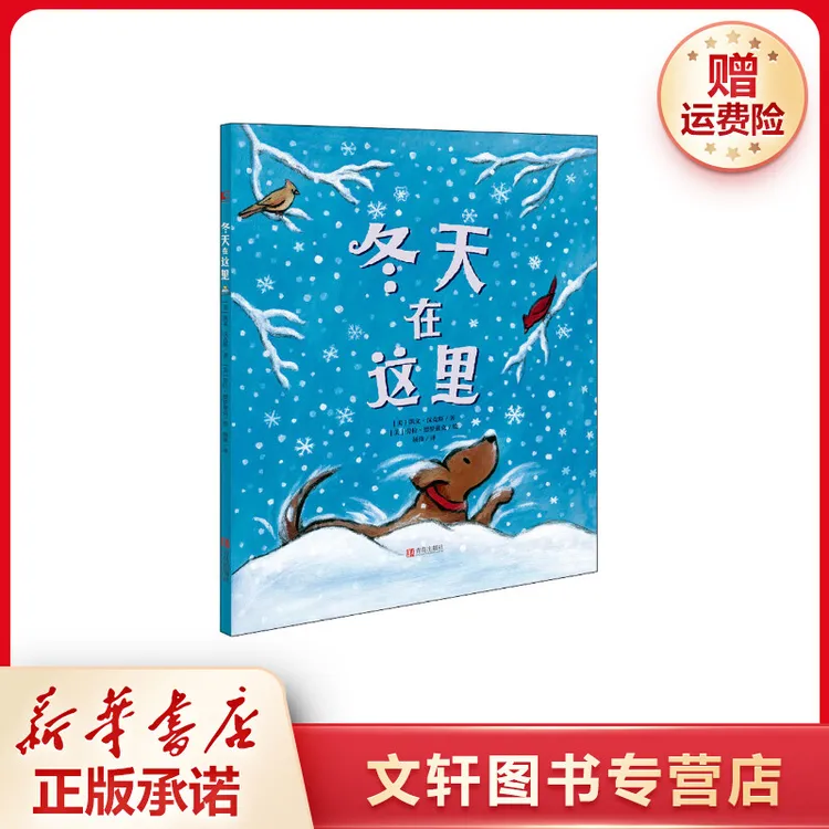 【文轩】冬天在这里 绘本