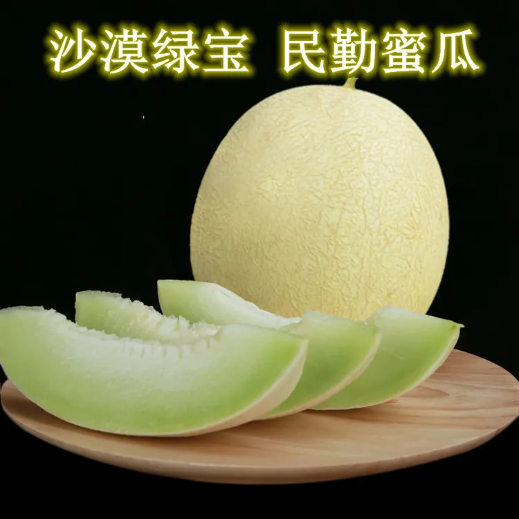 【顺丰包邮】甘肃民勤收成特产沙漠银蒂蜜瓜白兰瓜冰激凌甜民勤蜜瓜