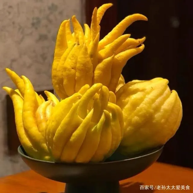 香薰闻香佛手果佛手柑清供观赏香薰把玩插花新鲜现摘现发佛手