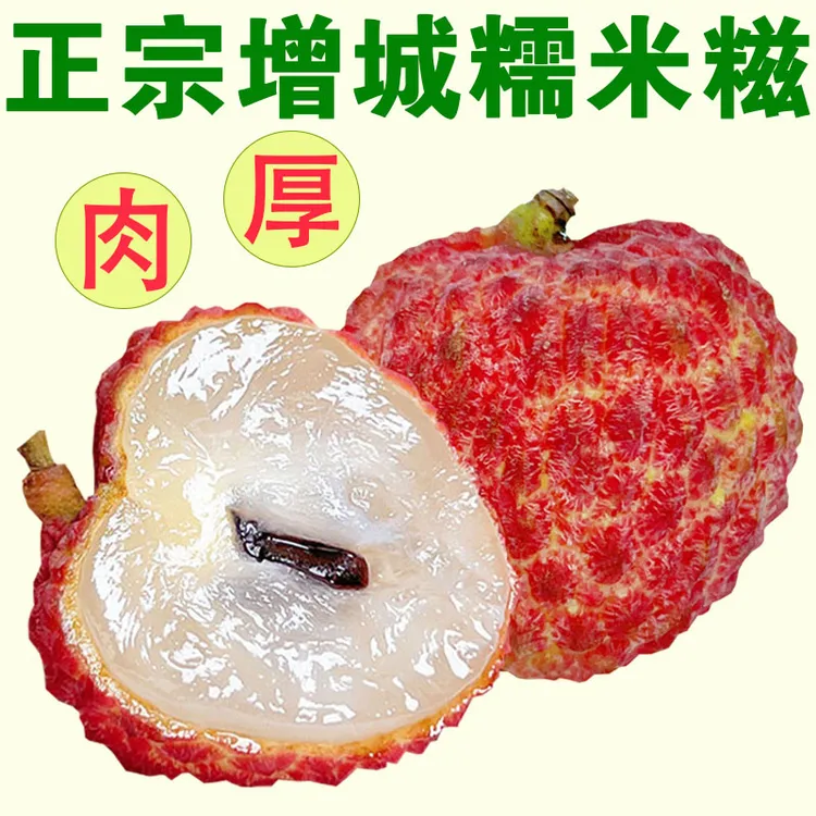 【正宗增城糯米糍荔枝】甜靓果肉厚汁多清甜新鲜现摘广东鲜荔枝果