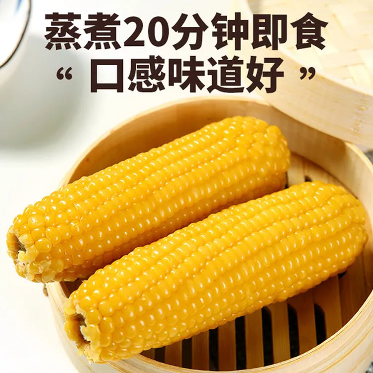 【新人专属】东北黄糯玉米真空包装软糯黏玉米棒10支6斤试吃2根