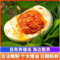 流油烤海鸭蛋大蛋60g70g*20枚广西北部湾特产咸盐鸭蛋红树林散养