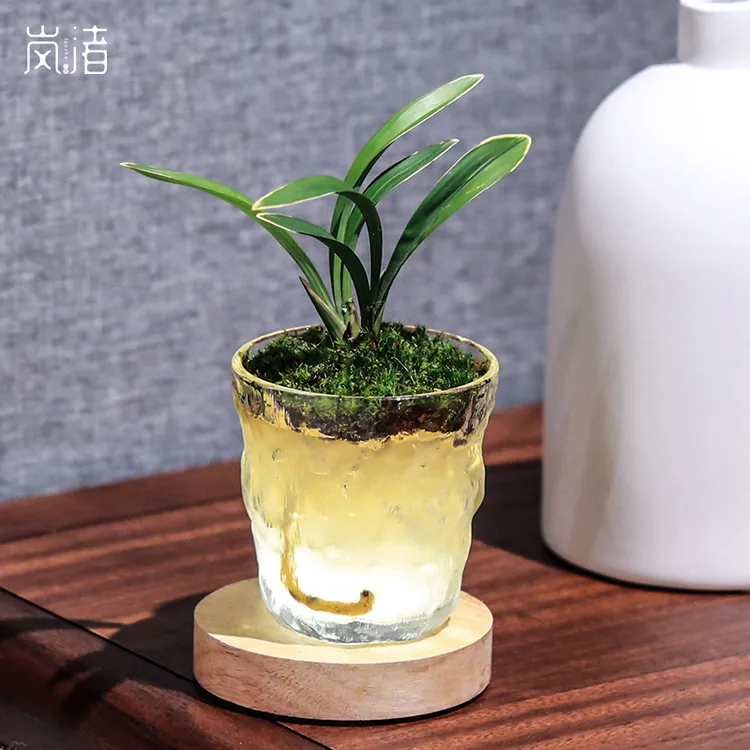 岚渚【兰梦】桌面懒人植物小摆件兰花卉绿植物盆景盆栽氛围小夜灯