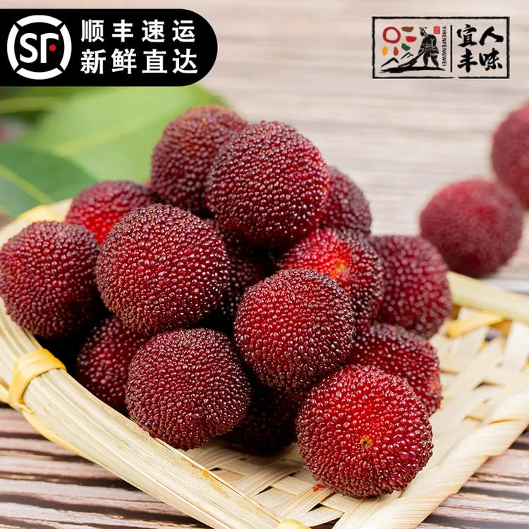 【顺丰包邮】现采现发水浸窝杨梅礼盒2A特级5斤礼盒装应季水果