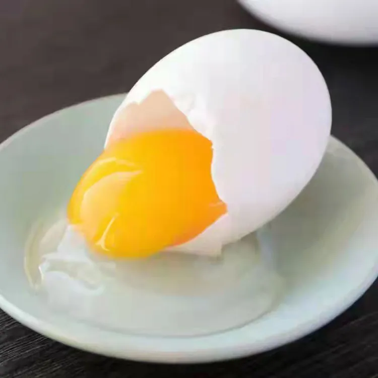白鹭鸭蛋，当天现生现发