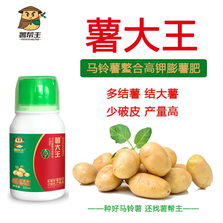 薯帮主马铃薯土豆高钾叶面肥料薯大王土豆马铃薯增产膨薯肥水溶肥