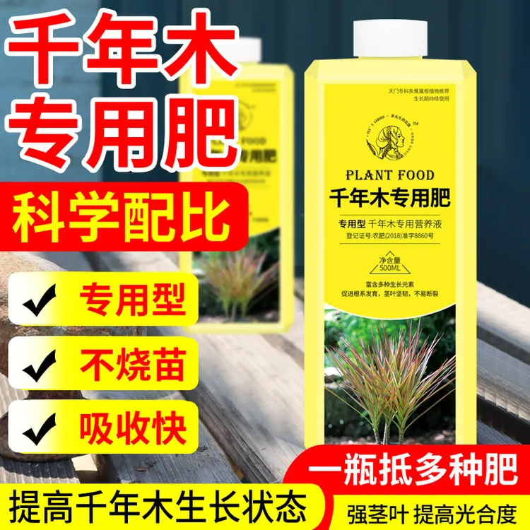 千年木肥料专用肥龙血树营养液磷钾肥花用复合肥料龙须树专用肥料