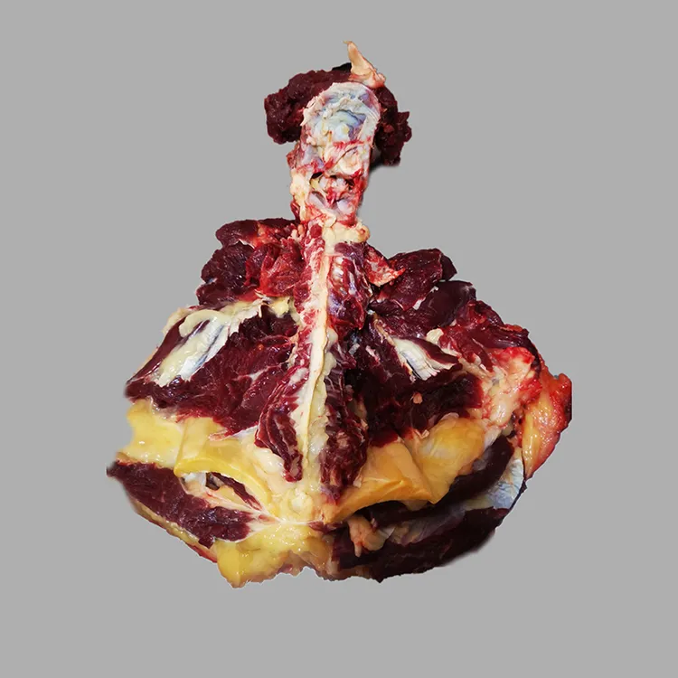 嵯岗牧场牧人新鲜瑟日 牛大梁骨 内蒙古 呼伦贝尔 草饲散养 5斤 