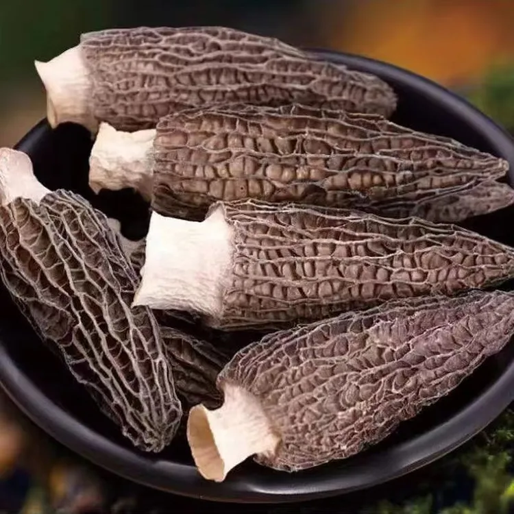 （5一8）饱满羊肚菌干货精选美味肉厚初柄头茬新鲜汤包煲汤食