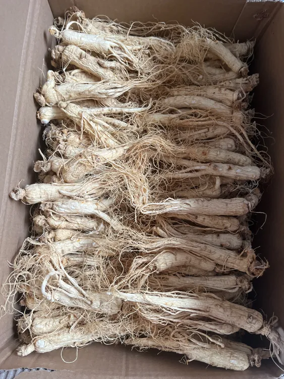 长白山生晒参500克