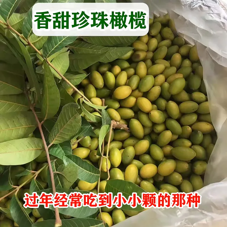 眼镜弟潮汕珍珠原味橄榄酥脆回甘香甜小颗灵峰橄榄小珍珠橄榄一斤