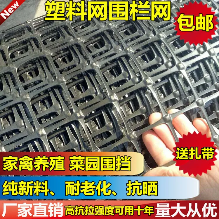 现货塑料网养殖网拦鸡网土工格栅隔离网围栏网漏粪脚垫网黑色胶网