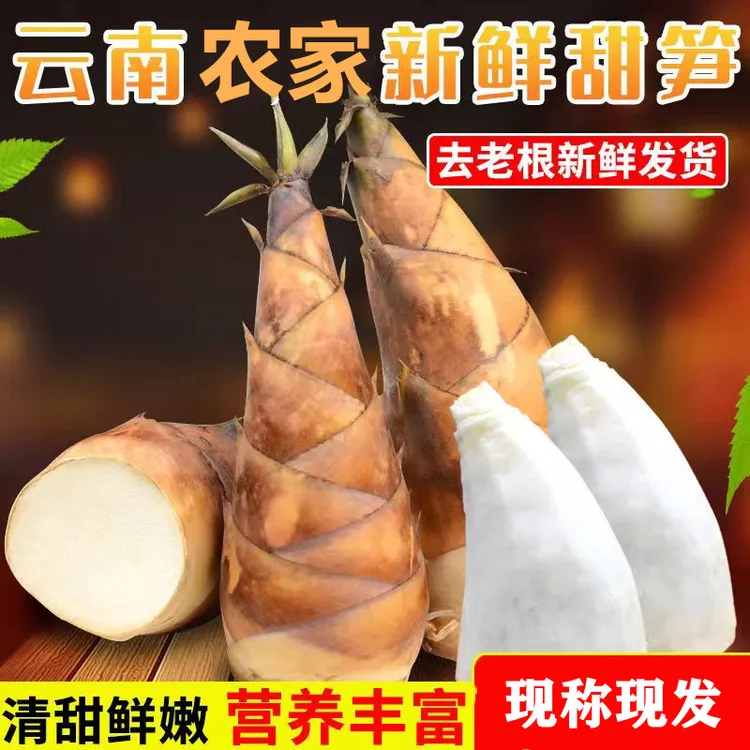老品种正宗云南现挖新鲜甜竹笋鲜嫩甜龙竹农家竹笋生吃水果笋包邮
