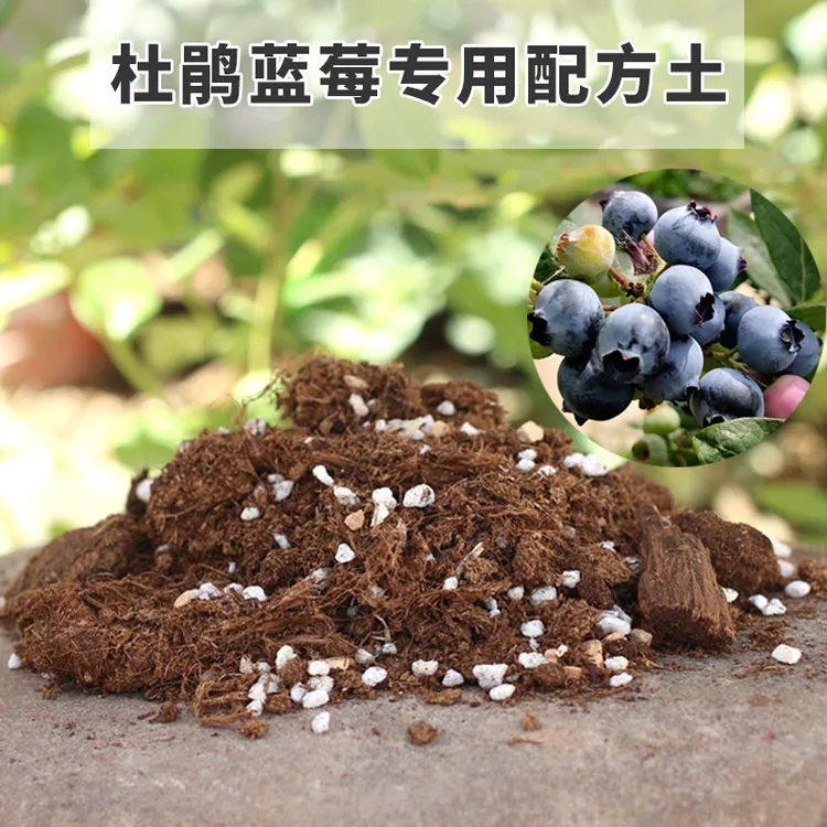 蓝莓专用营养土树苗盆栽酸性泥炭基质土壤 杜鹃花栀子山茶花‌通用