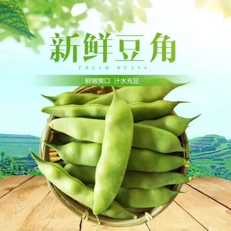【顺丰/EMS空运】东北油豆角 九月青油豆角，扁豆角 现摘现发 2斤