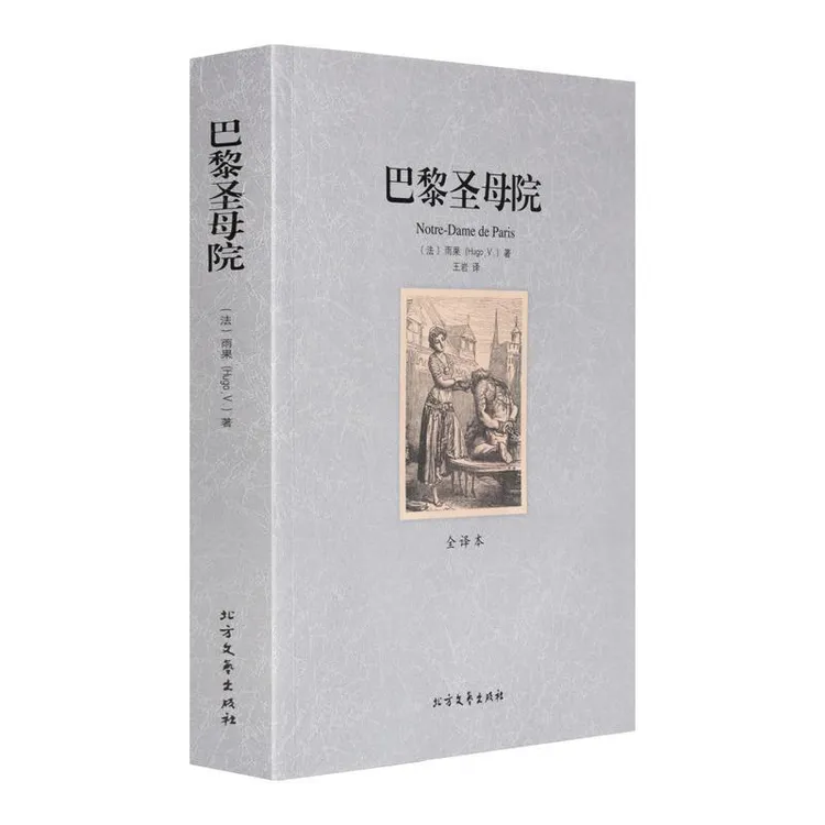 世界名著 巴黎圣母院 全译本 翻译中文版 雨果著 青少年初中生