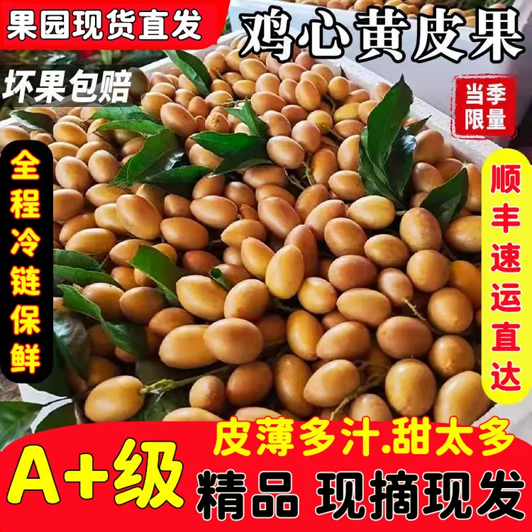 【顺丰冷链】新鲜鸡心黄皮果不带枝纯果粒黄皮应季新鲜孕妇水果批发