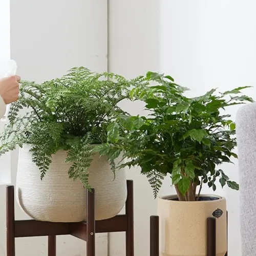 花架落地北欧十字花架阳台客厅鱼缸花盆植物绿萝多肉盆栽架花架子