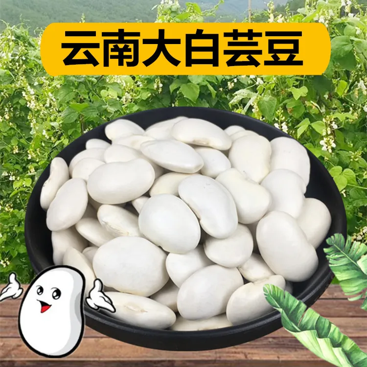 滇西兄弟云南白芸豆大理农家大白芸豆新货雪豆芸豆炖猪脚老妈蹄花