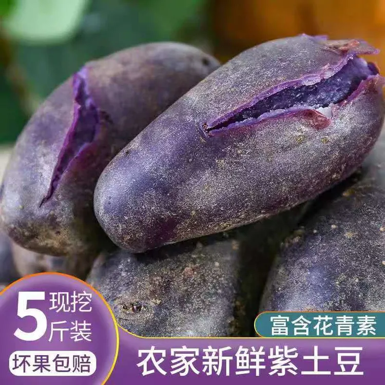 2025年云南新鲜现挖黑金刚黑土豆5斤/9斤