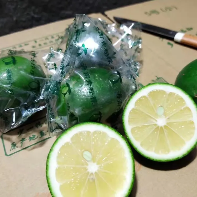 正宗海南青柠檬新鲜现摘绿皮饮品当季水果产地批发包邮